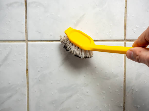 Water Damage Restoration in Lincoln, AL